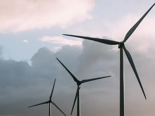 Eure-et-Loir : les parcs éoliens peuvent mieux faire pour préserver...