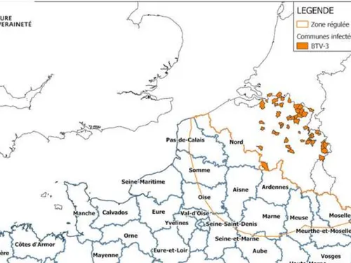 Dans les Hauts-de-France, l'élevage menacé par deux nouvelles...