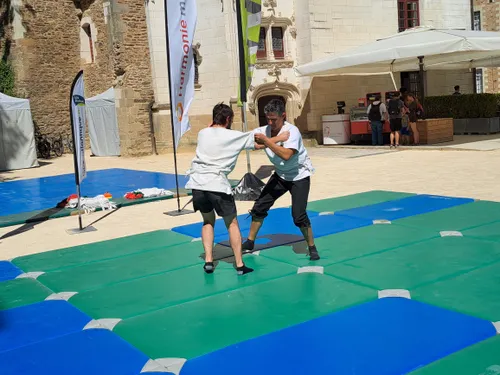 Jeux de Bretagne : le gouren à l'honneur à Nantes