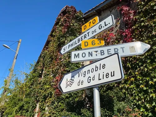 En Loire-Atlantique, la routes des vins est plus lisible