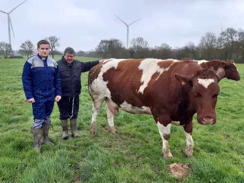 Dans le Maine-et-Loire, les vaches d’Anthony au salon de l’agriculture