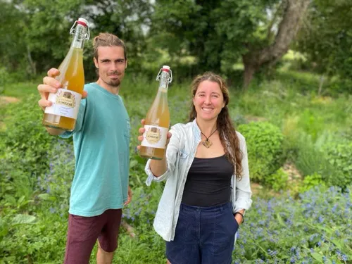 En Vendée, ils misent sur la production de kombucha	
