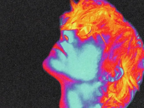 Cinéma. Le festival du film de La Roche-sur-Yon ouvre aujourd'hui