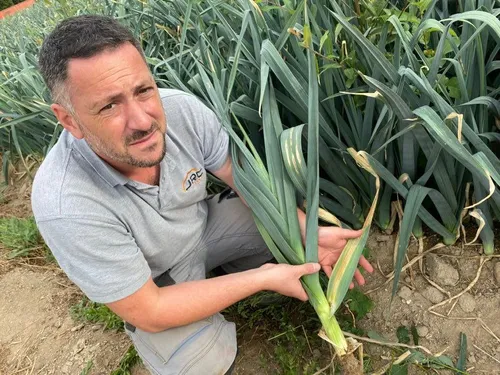 Météo : Près de Nantes, le secteur du maraîchage est inquiet