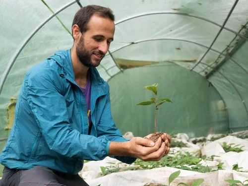Bouaye. Une plantation de thé bio aux portes de Nantes 