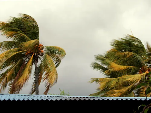 Une Nantaise témoigne après le passage du cyclone Belal à La Réunion