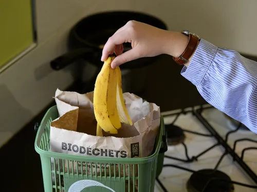 Le tri des biodéchets obligatoire au 1er janvier : le Pays de...