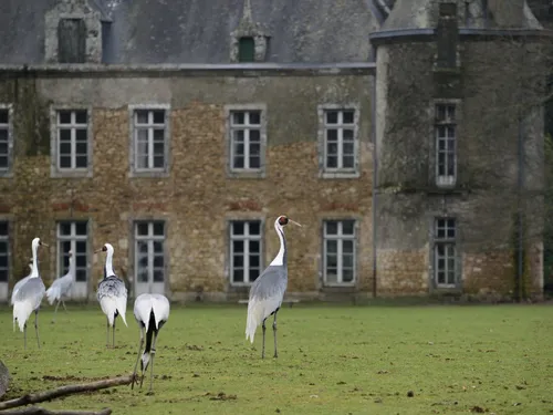 Branféré, nouvel adhérent de "Produit en Bretagne" prépare sa saison