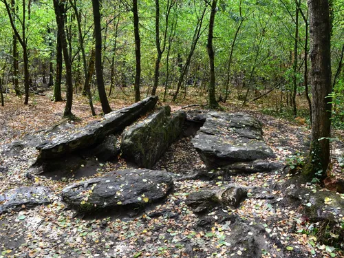 Forêt de Brocéliande : le Tombeau du Géant préservé par les pompiers