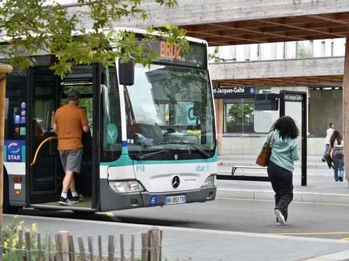 Des chauffeurs de car sans permis, en Pays de la Loire