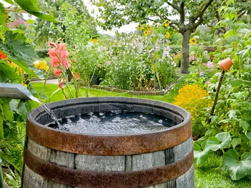 Sécheresse. Un sénateur ligérien prône la baisse de la TVA sur les...