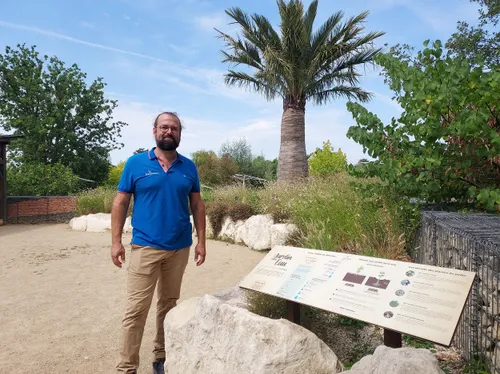 Terra Botanica à Angers. Un jardin sans eau c'est possible !