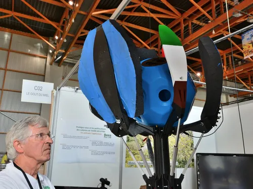 Buzz. Quimper capitale européenne de l'apiculture ce week-end