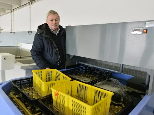 Norovirus : une expérimentation lancée pour purifier l'eau des...