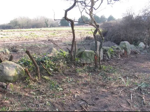 Polémique sur les menhirs de Carnac. "Ni erreur, ni négligence"...