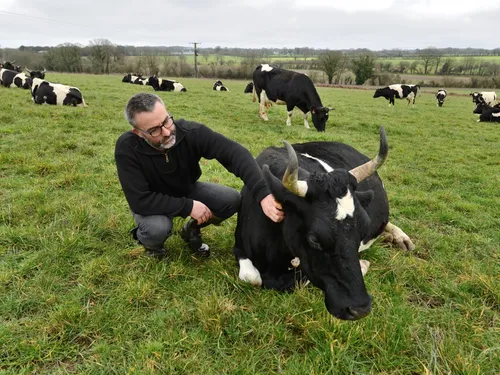 Retour en grâce : les races bretonnes au Salon de l'Agriculture !