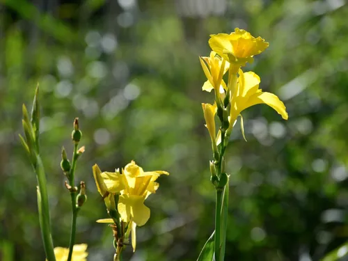 La météo automnale compliquée pour la faune et la flore dans l'ouest