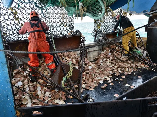 Saint-Brieuc. Les pêcheurs limités à ¾ d’heure de pêche par jour et...