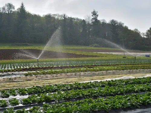 Sécheresse : l'inquiétude grandit dans le milieu agricole