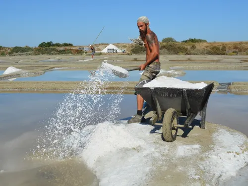 Guérande. Cet été, on manque d'eau et de moutarde, mais on ne...