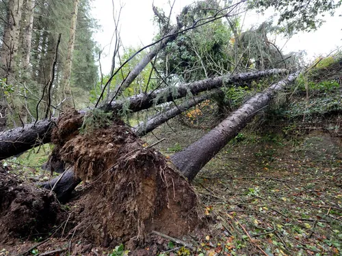 Tempête Ciaràn : la maire de Paimpol réagit après 5 jours sans...