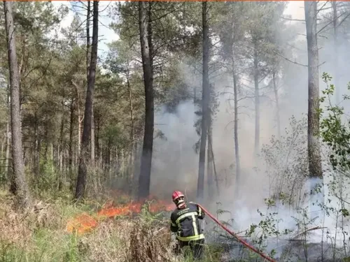 Il fait chaud et sec, attention aux feux de forêts !