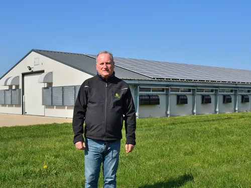 Grippe aviaire : moins de magret de canard sur les étals !