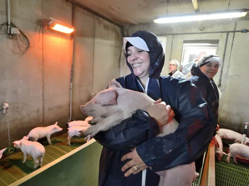 Bretagne. Et si vous embrassiez un métier dans l'agriculture ?