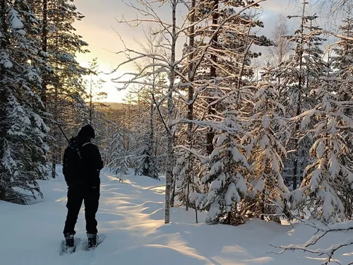 Bretons de l'Etranger : Morgane emmène les touristes sur sa...