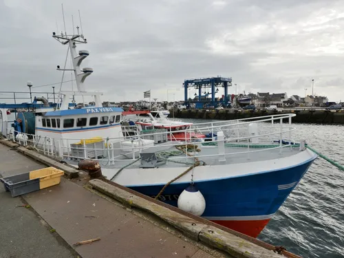 Gazole. L'inquiétude des marins-pêcheurs du Guilvinec