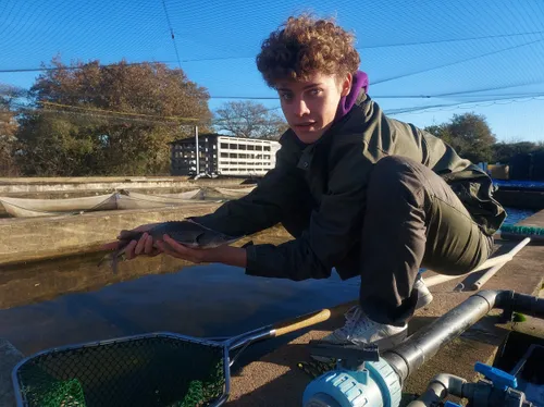 Du caviar sur la table de Noël, made in Guérande !