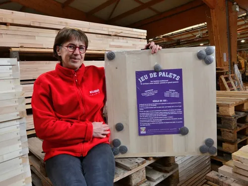 Journée spéciale Noël : Mécabois, le concurrent breton de Kapla,...