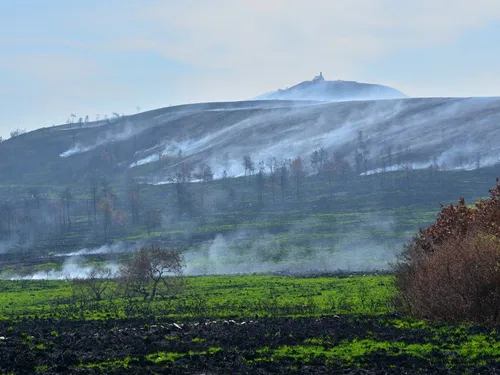 Monts d'Arrée. Après les incendies, l'heure de la restauration