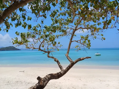 Bretons de l'Etranger. Sylvaine a choisi Mayotte pour une mission...