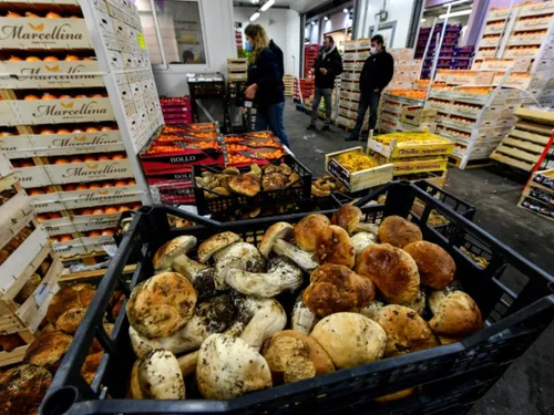 Le MIN de Nantes veut agir pour une alimentation durable