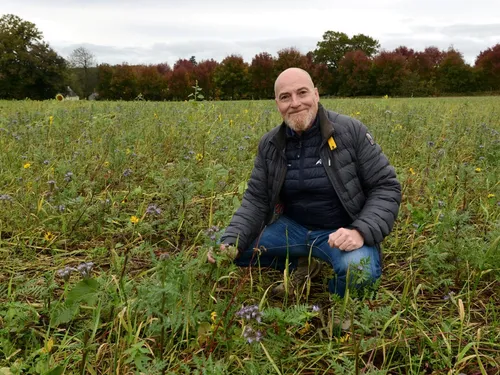Environnement : des alternatives existent au glyphosate en Bretagne