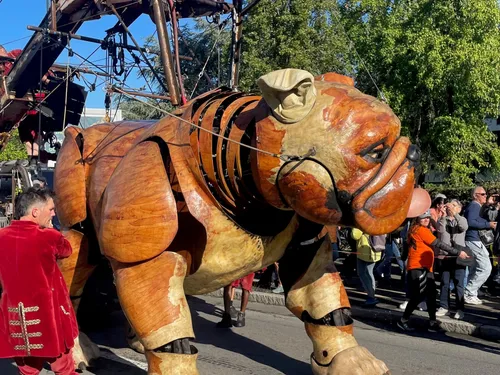 Nantes. Les chiens de Royal de Luxe attirent et séduisent !