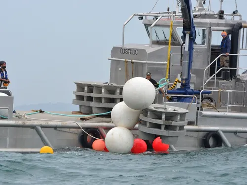 L'immersion de récifs artificiels au large de Paimpol : une...