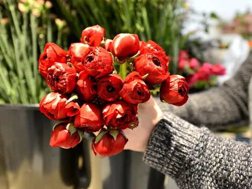 Pour la Saint-Valentin, les fleurs ont toujours la cote au MIN de...