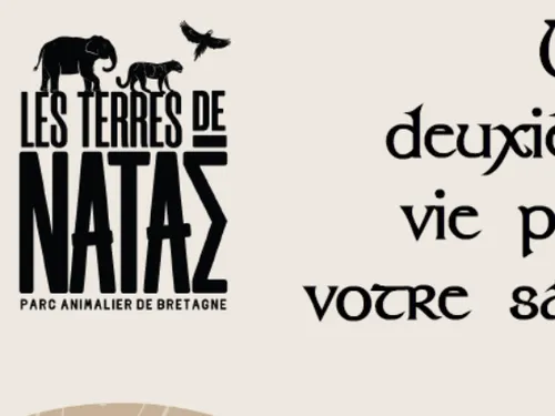 Une collecte de sapins démarre aux Terres de Nataé