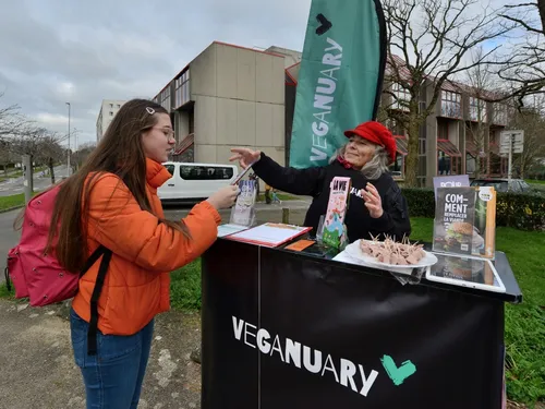 Veganuary en Bretagne : le jambon végétal, vous connaissez ?