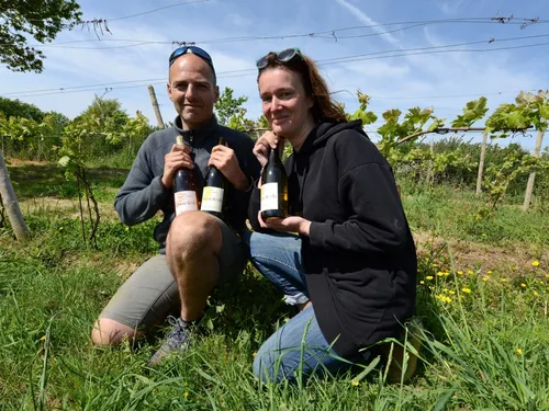 Vignoble de la Presqu'île de Rhuys : première cuvée de qualité !