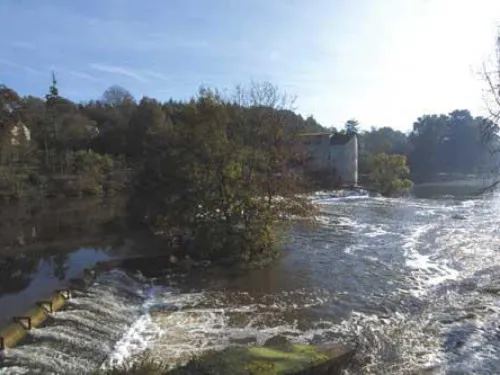 Ille-et-Vilaine : Vigilance sécheresse maintenue malgré la pluie