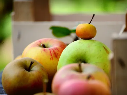 Tendance. Le bio n'a plus la cote auprès des consommateurs de l'ouest