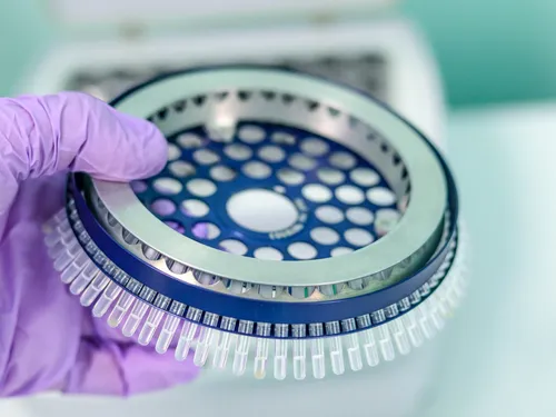 Un premier cas positif au variant Omicron en Vendée