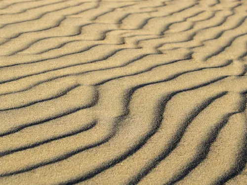 Vendée. Des travaux pour protéger les dunes de St-Gilles