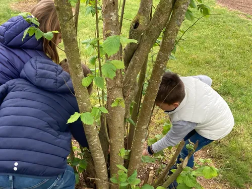 La chasse aux oeufs... au chocolat pour Pâques !