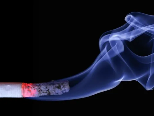 Plus de cigarette dans 5 parcs nantais !