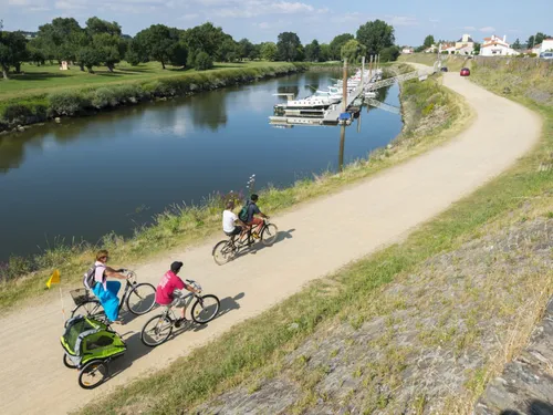 Loire à vélo, Vélodyssée... Les vacances à vélo ont le vent en poupe !