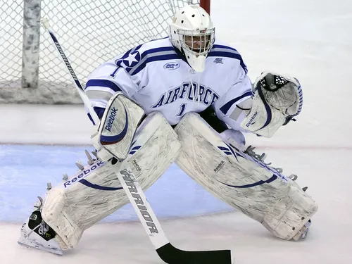 Hockey. Les Ducs d'Angers en demi-finale des playoffs